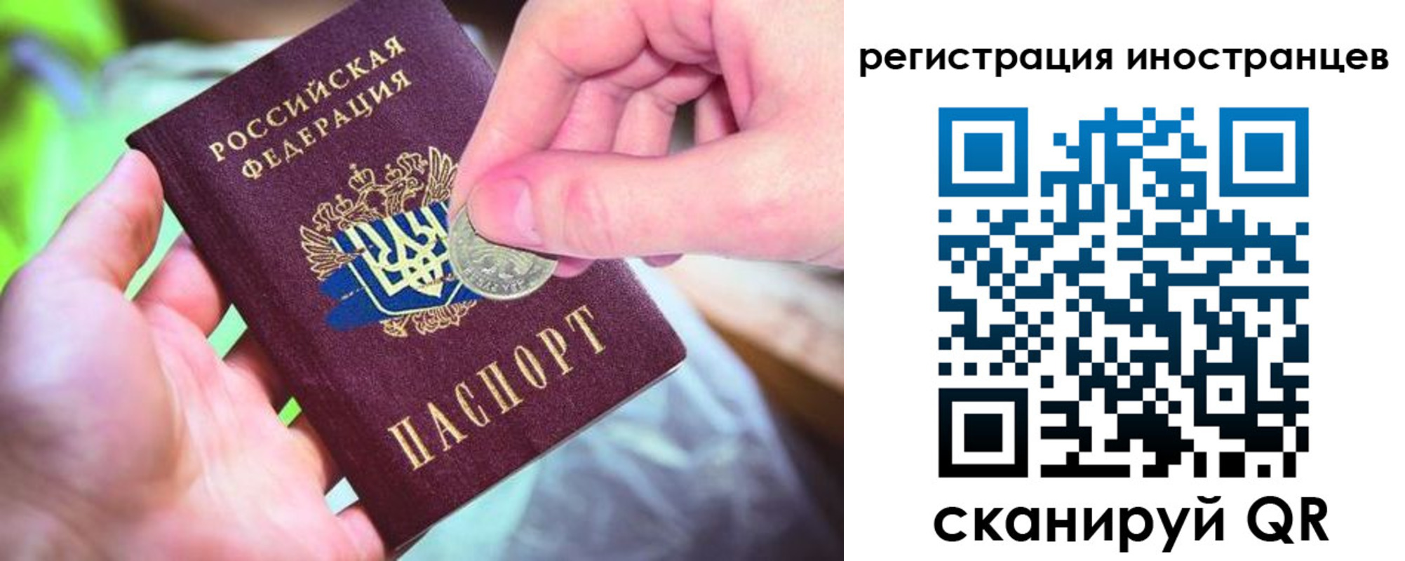 прописка для работы в Петухово